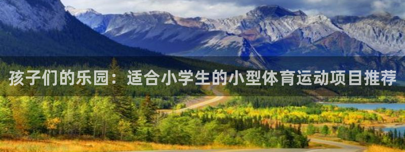 yy易游官网下载是干嘛的公司:孩子们的乐园:适合小学生的小型