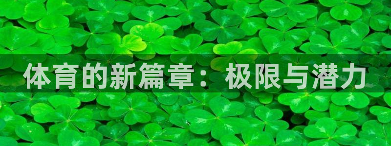 yy易游官方正版app集团简介:体育的新篇章:极限与潜力