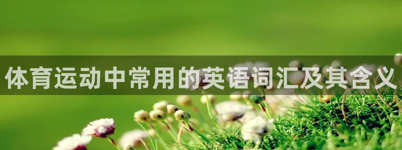 yy易游官网下载是干嘛的公司:体育运动中常用的英语词汇及其含